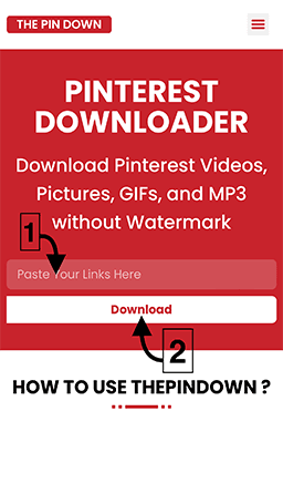 Descargador de videos de Pinterest